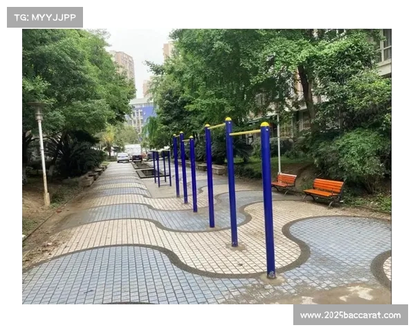 社区健身器材更新完成，老年用户使用率上升